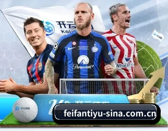 了解平台 - 体育资讯内容服务 | FEIFAN SPORTS