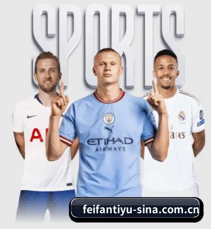 非凡体育围绕看球场景设计的核心服务 | FEIFAN SPORTS